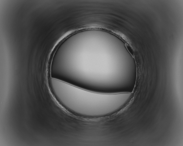 X0000086001134200703230843
