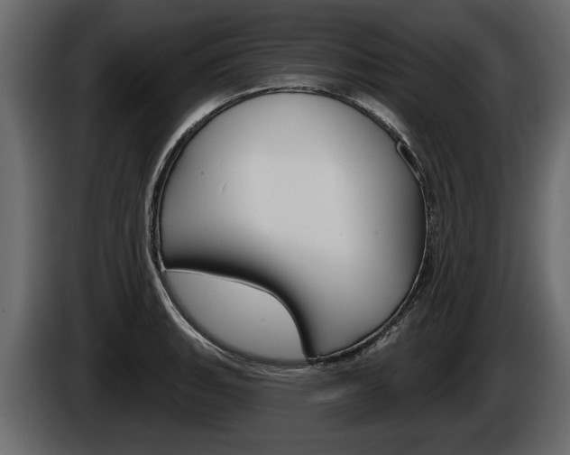 X0000086001135200703230843