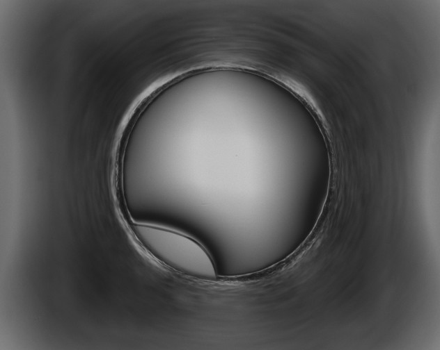 X0000086001136200703230843