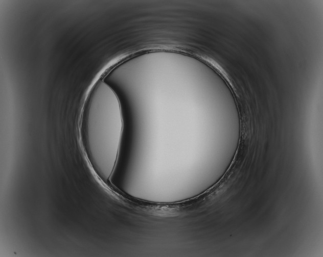 X0000086001139200703230843