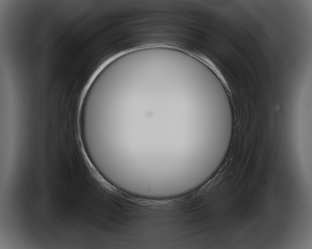 X0000086001140200703230843