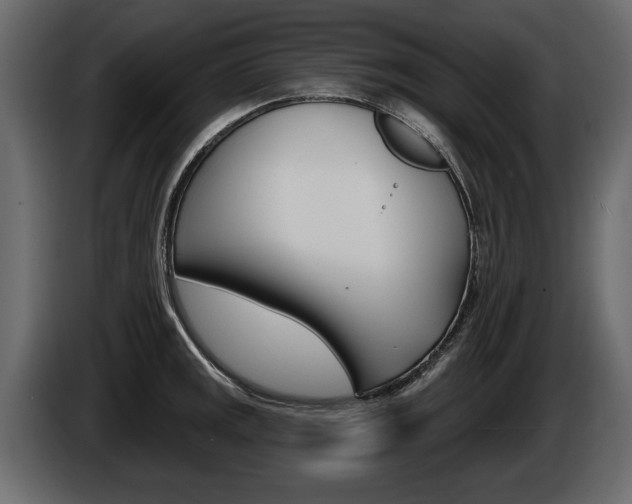 X0000086001141200703230843