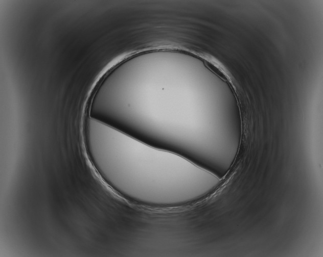 X0000086001142200703230843