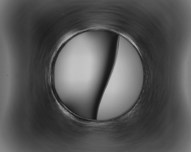 X0000086001143200703230843
