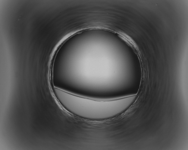 X0000086001144200703230843