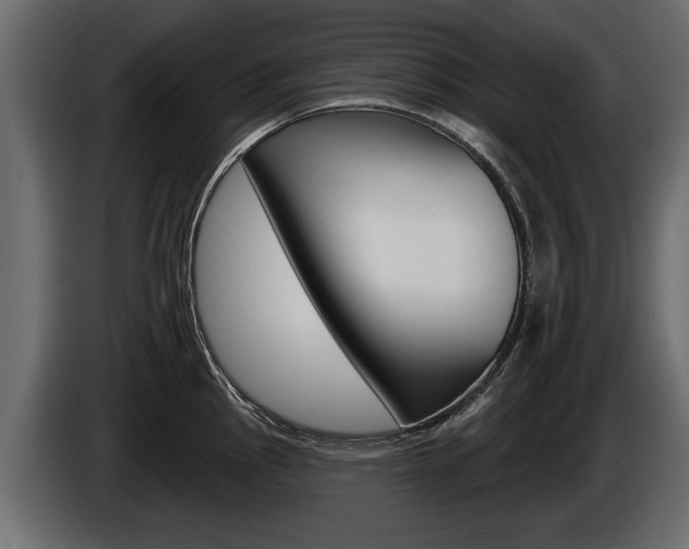 X0000086001145200703230843