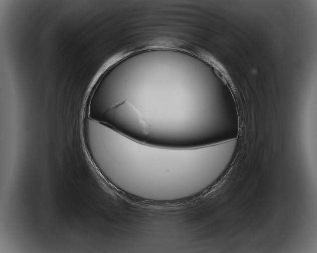 X0000086001146200703230843