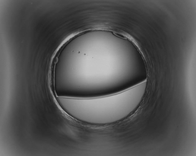X0000086001147200703230843