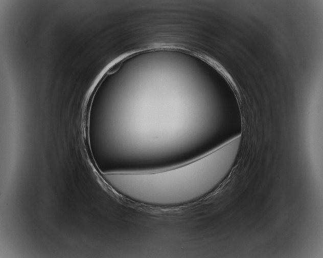 X0000086001148200703230843