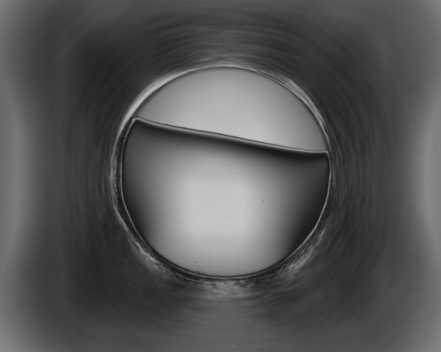 X0000086001149200703230843