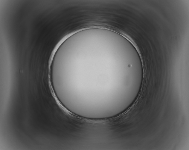 X0000086001152200703230843