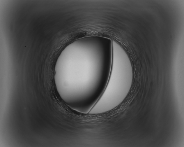 X0000086001153200703230843