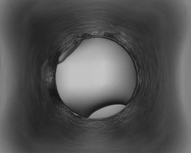 X0000086001154200703230843