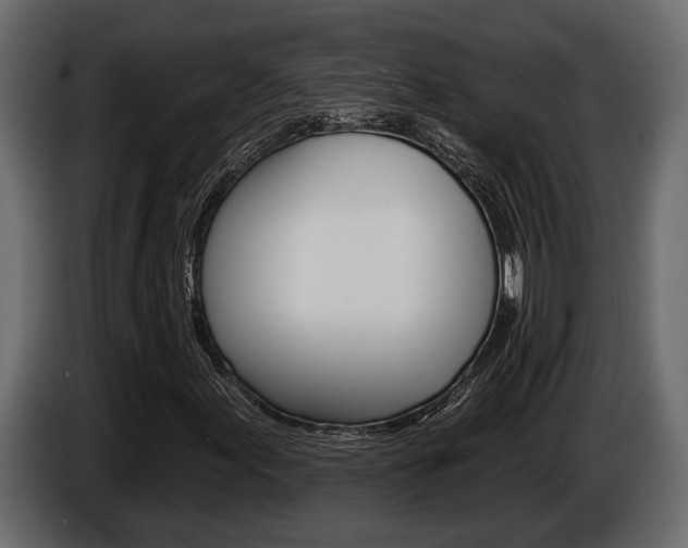 X0000086001155200703230843