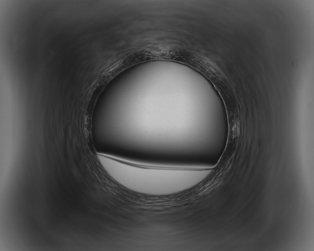 X0000086001156200703230843