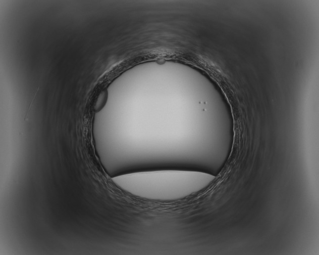 X0000086001158200703230843