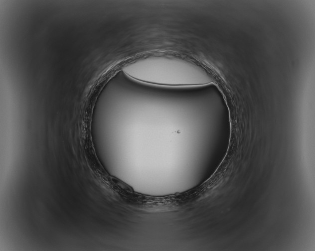 X0000086001159200703230843