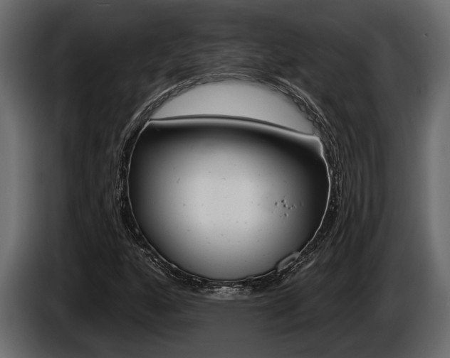 X0000086001160200703230843
