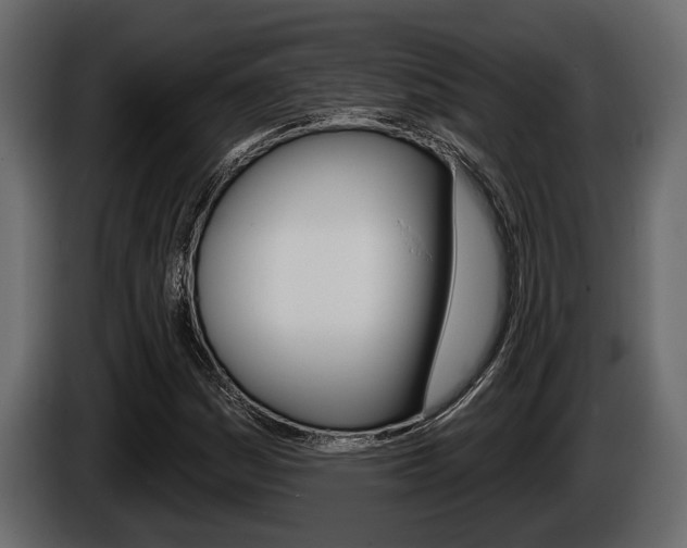 X0000086001161200703230843
