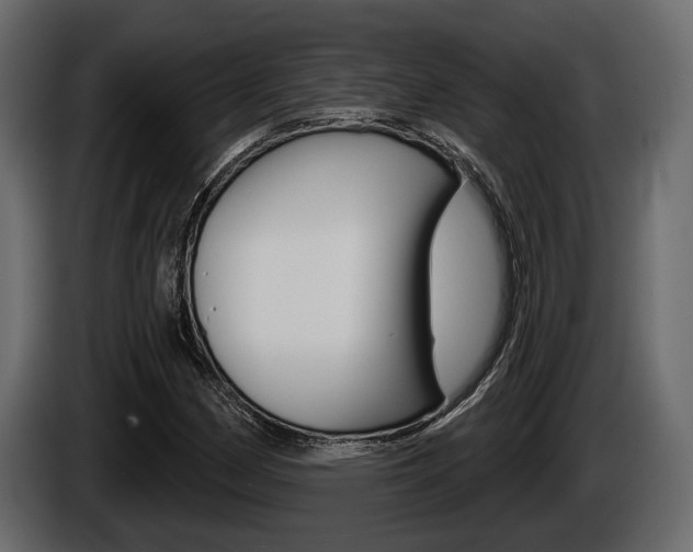 X0000086001162200703230843