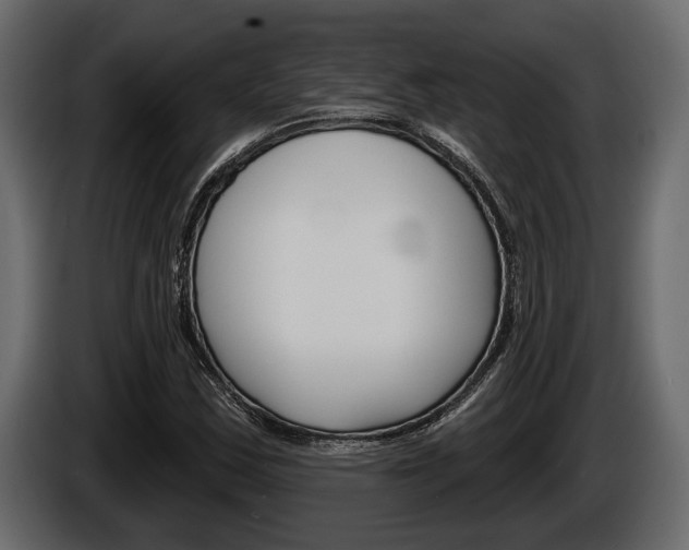X0000086001163200703230843