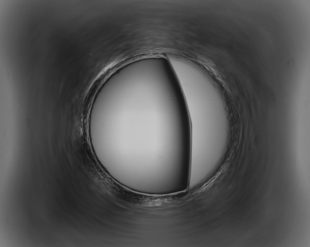 X0000086001165200703230843