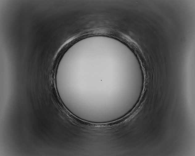 X0000086001166200703230843