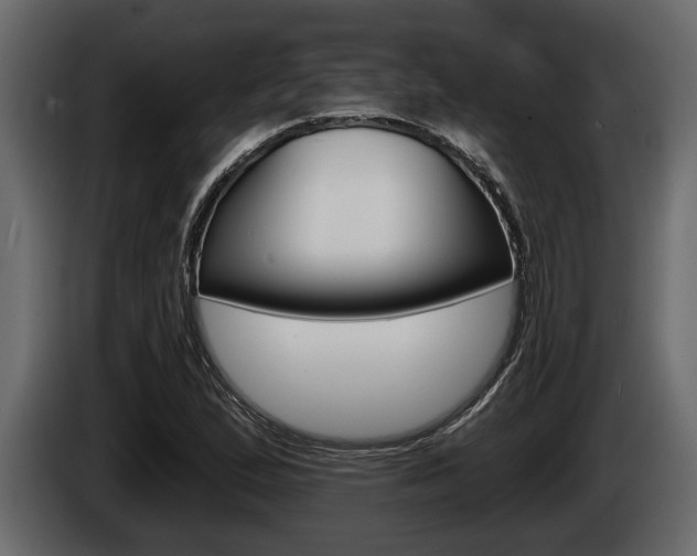 X0000086001167200703230843