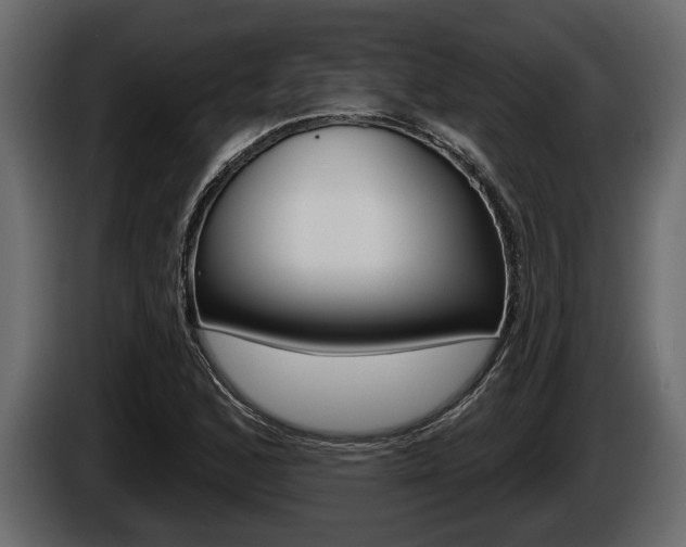 X0000086001168200703230843