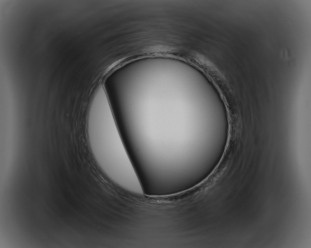 X0000086001169200703230843