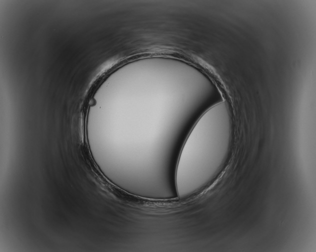 X0000086001171200703230843