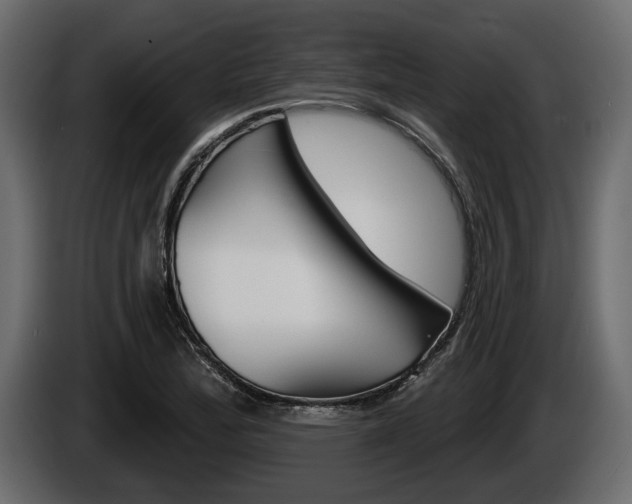 X0000086001172200703230843