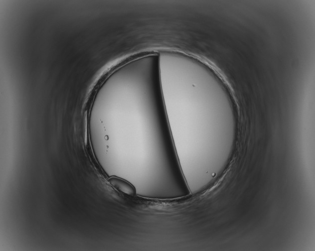 X0000086001175200703230842