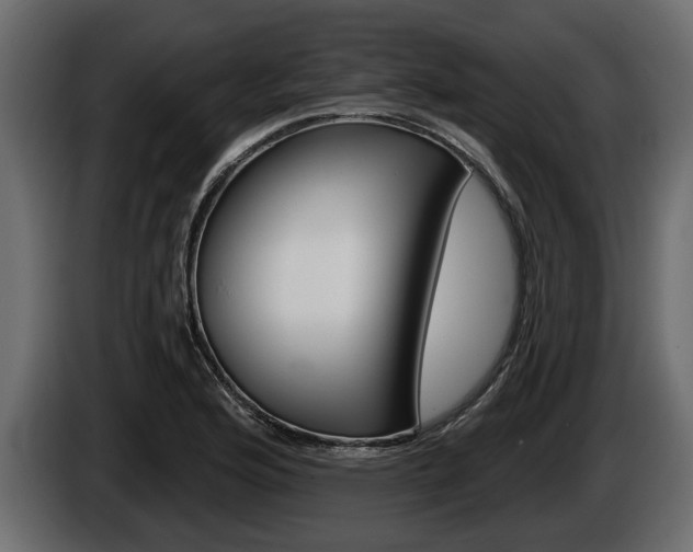X0000086001176200703230842