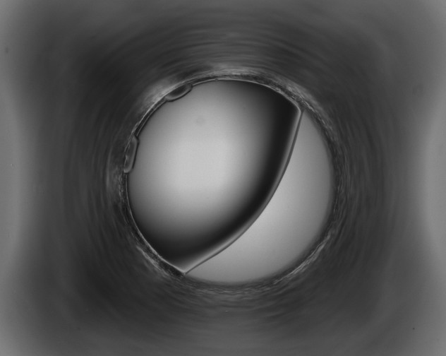 X0000086001177200703230842
