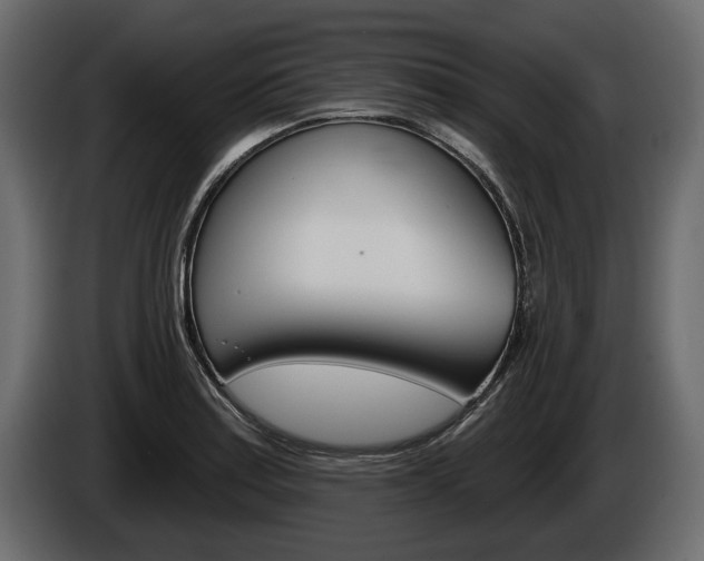 X0000086001179200703230842