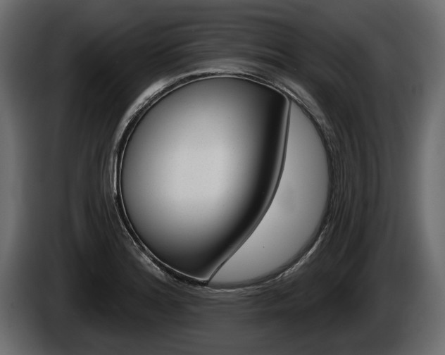 X0000086001180200703230842