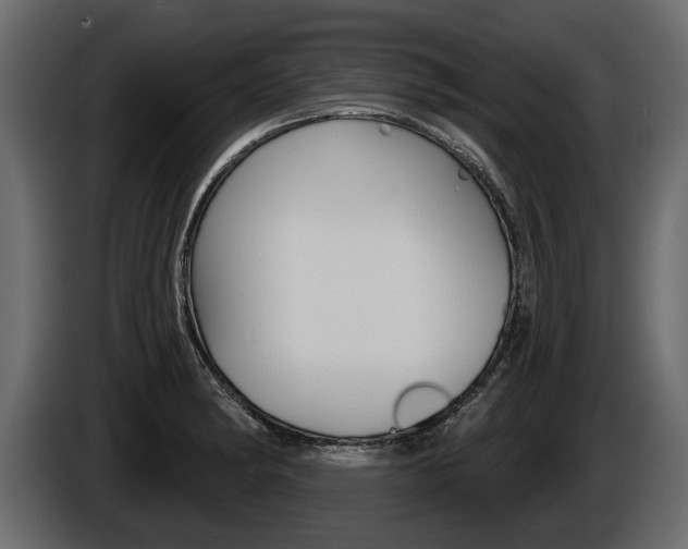 X0000086001182200703230842