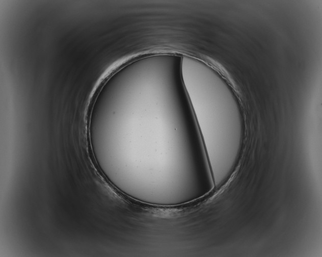 X0000086001184200703230842