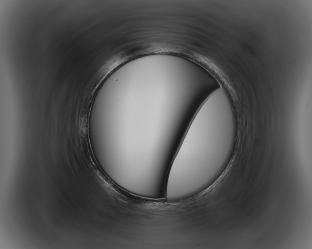 X0000086001185200703230842