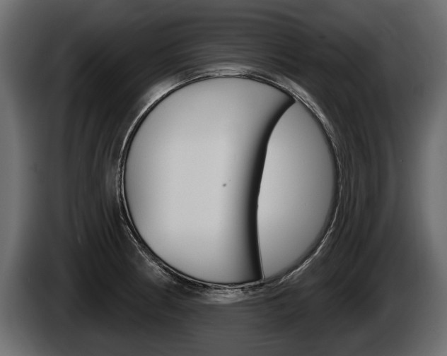 X0000086001186200703230842