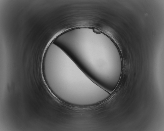 X0000086001187200703230842