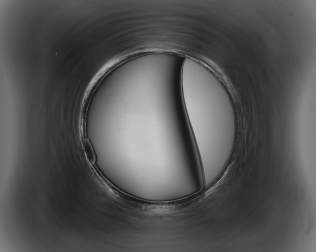 X0000086001188200703230842