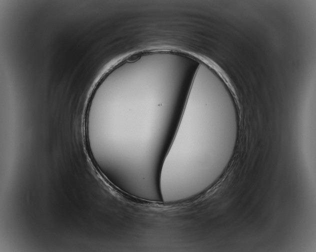 X0000086001191200703230842