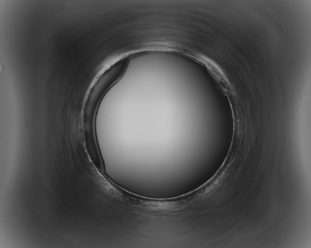 X0000086001192200703230842