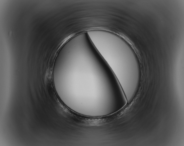 X0000086001193200703230842