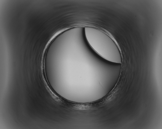 X0000086001195200703230842