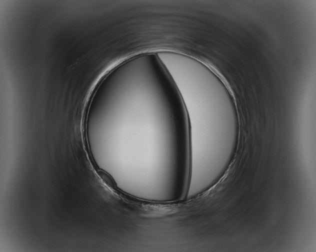 X0000086001197200703230842