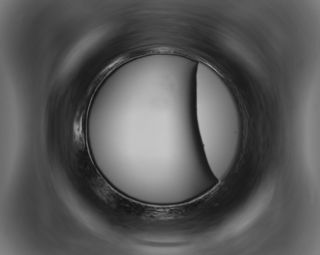 X0000086001198200703230842