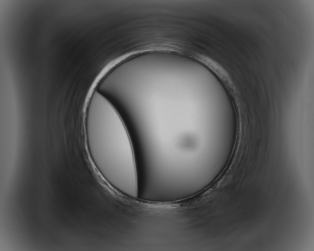 X0000086001200200703230842